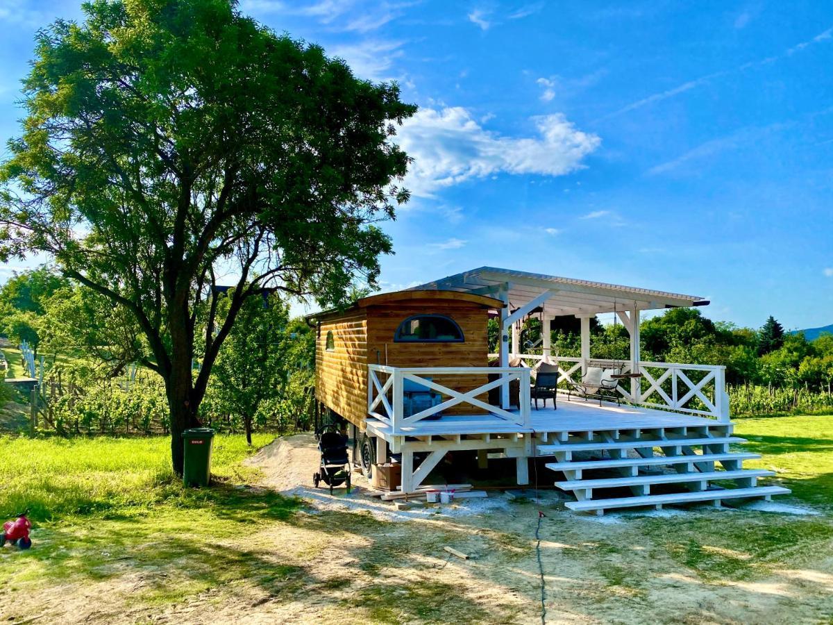 Bohemian Eco Lodge At Lake Balaton Kisapati Exterior foto